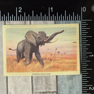 🌀10/$10🌀 Classic Grassland Animals Reusable Washi Sticker Decal